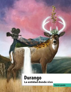 Libro Durango La entidad donde vivo Tercer Grado de Primaria